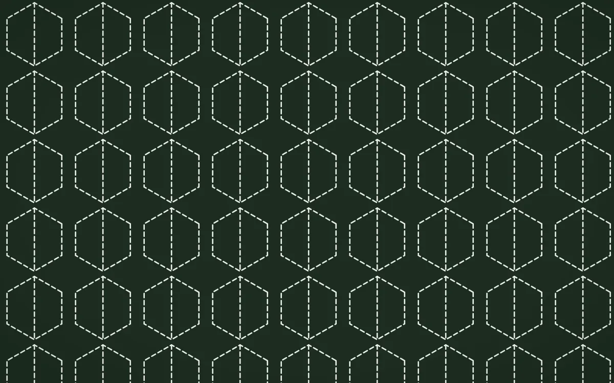 Bavarian Forest Stitch Hexagons — dark green and white sashiko background