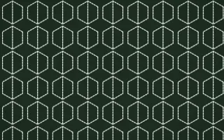 Bavarian Forest Stitch Hexagons — dark green and white sashiko background