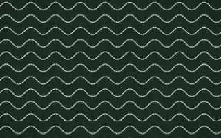 Bavarian Forest Stitch Waves — dark green and white sashiko background