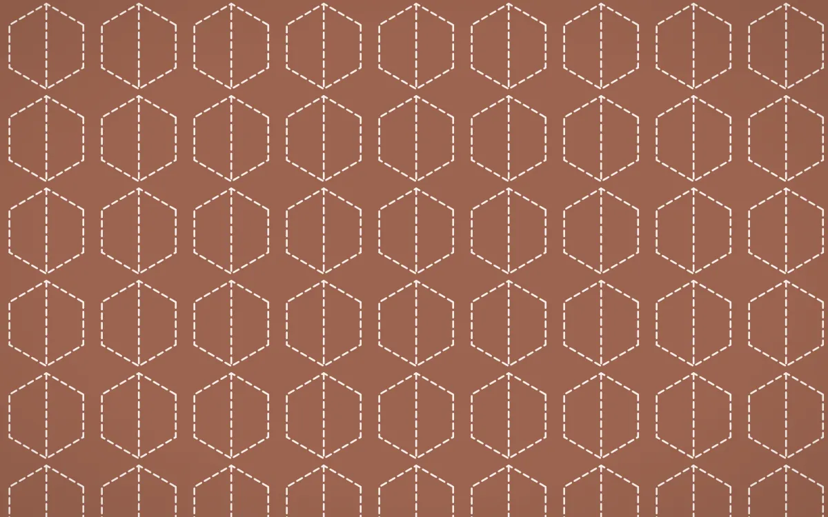 Budapest Rose Stitch Hexagons — colourful orange and white sashiko background
