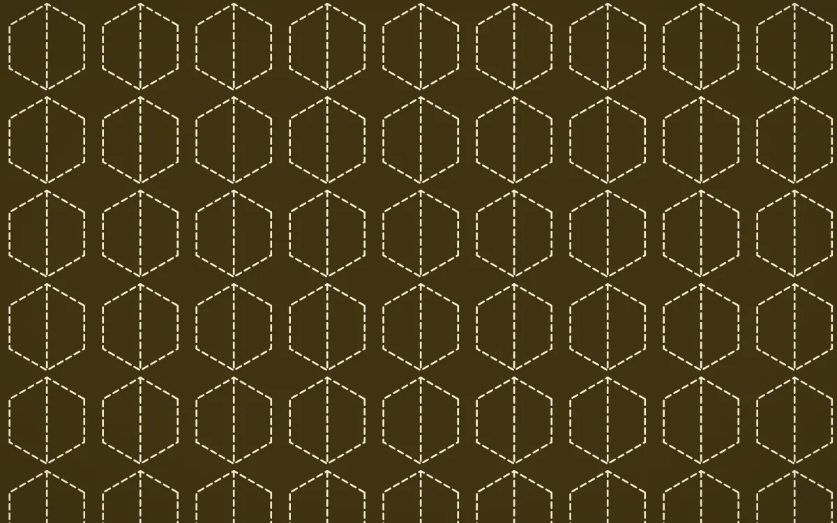 Cairo Gold Stitch Hexagons — dark brown and beige sashiko background