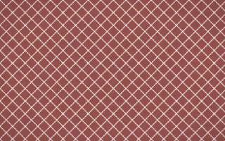 Cape Protea Stitch Diamonds — colourful red and white sashiko background