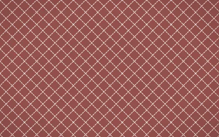 Cape Protea Stitch Diamonds — colourful red and white sashiko background