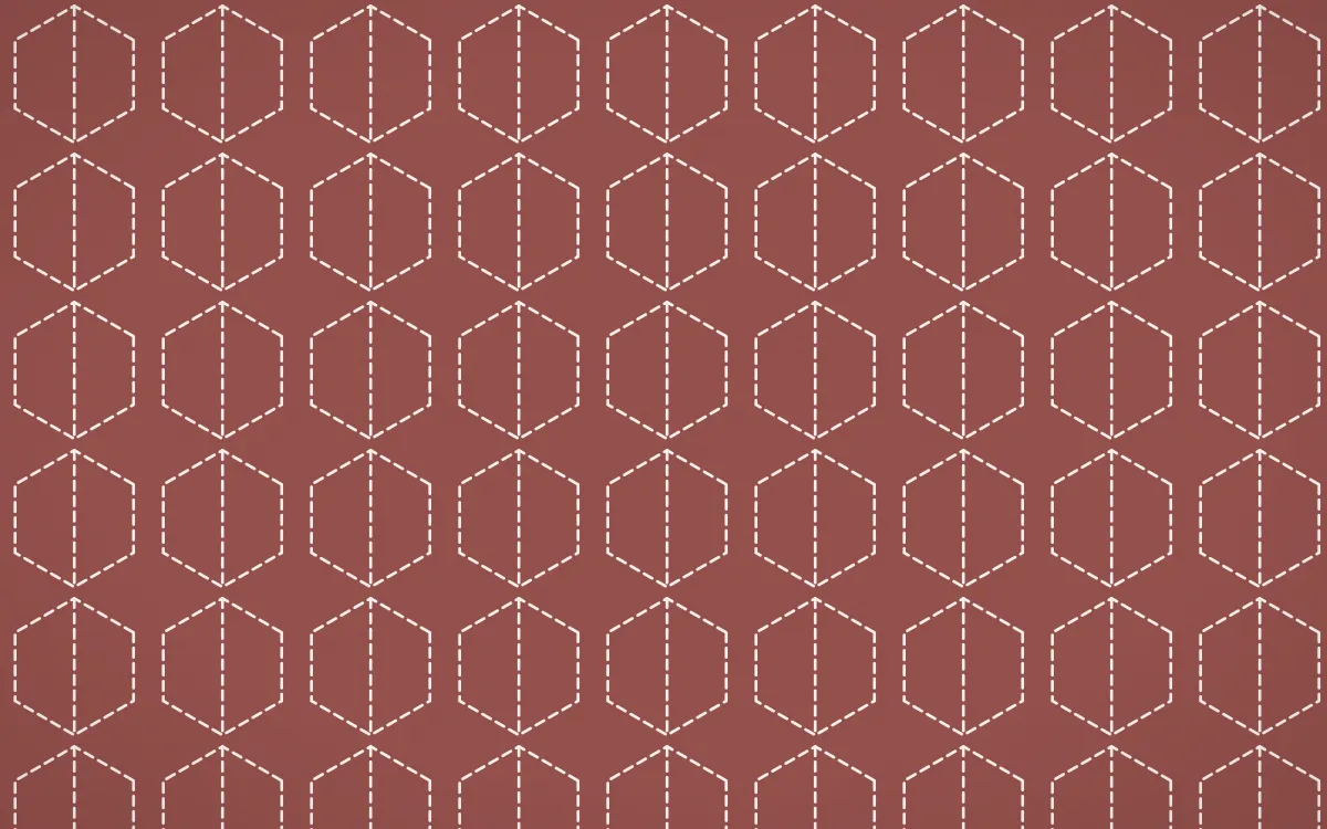 Cape Protea Stitch Hexagons — colourful red and white sashiko background