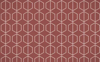 Cape Protea Stitch Hexagons — colourful red and white sashiko background