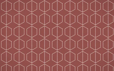 Cape Protea Stitch Hexagons — colourful red and white sashiko background