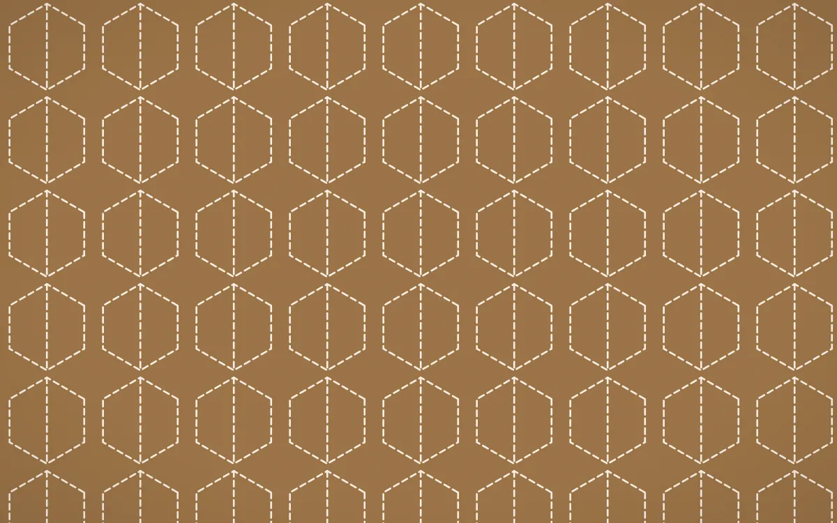 Cappadocia Stitch Hexagons — colourful orange and beige sashiko background