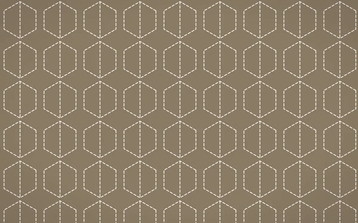 Copenhagen Hygge Stitch Hexagons — colourful orange and white sashiko background