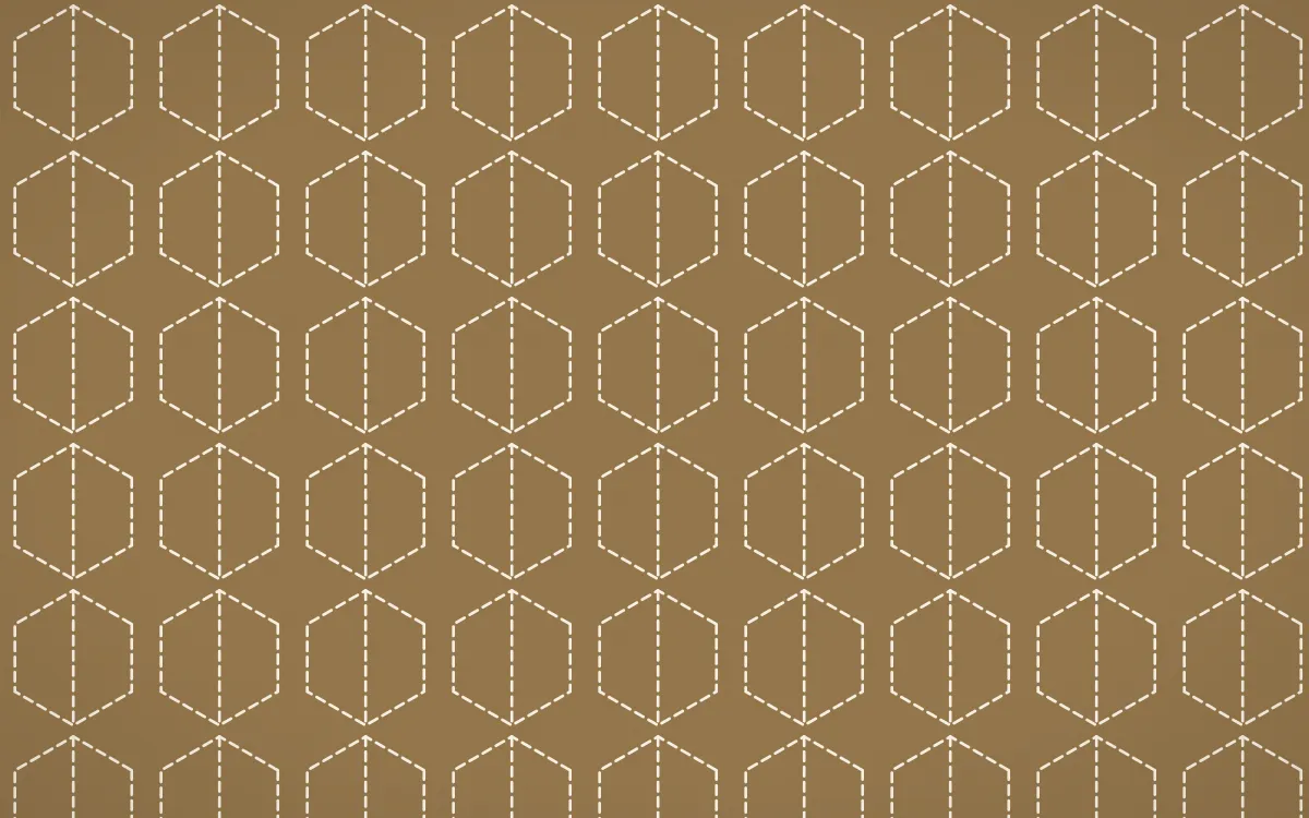 Cotswold Stone Stitch Hexagons — colourful orange and beige sashiko background