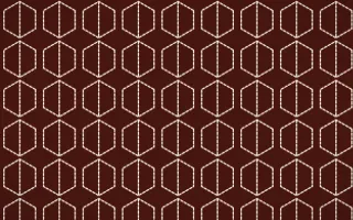 Cusco Weave Stitch Hexagons — dark red and beige sashiko background