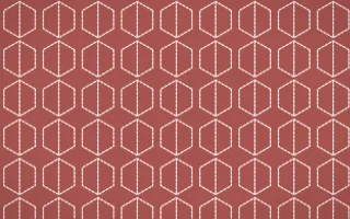 Damascus Rose Stitch Hexagons — colourful red and white sashiko background