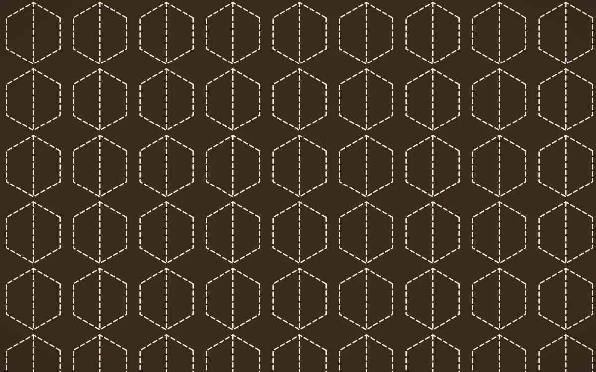 Desert Oud Stitch Hexagons — dark brown and beige sashiko background