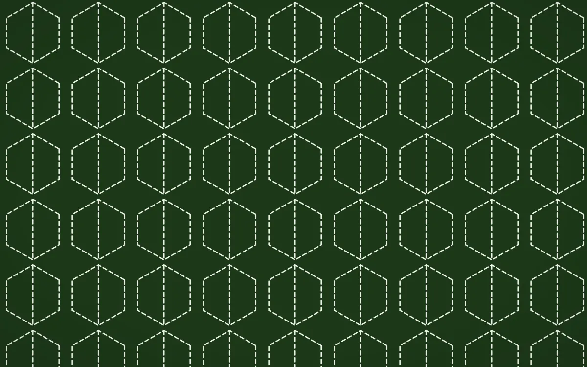 Emerald Isle Stitch Hexagons — dark green and white sashiko background