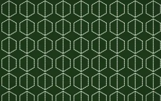 Emerald Isle Stitch Hexagons — dark green and white sashiko background