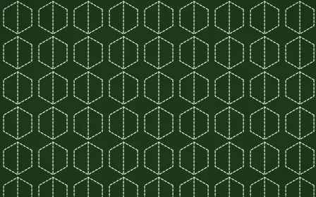 Emerald Isle Stitch Hexagons — dark green and white sashiko background