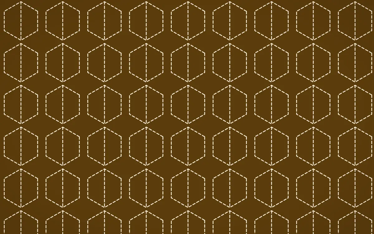 Fes Saffron Stitch Hexagons — dark brown and beige sashiko background
