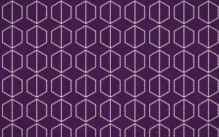 Fiesta Brava Stitch Hexagons — dark purple and white sashiko background
