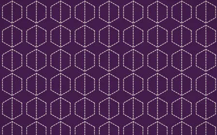 Fiesta Brava Stitch Hexagons — dark purple and white sashiko background