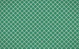 Hanbok Mint Stitch Diamonds — colourful green and white sashiko background