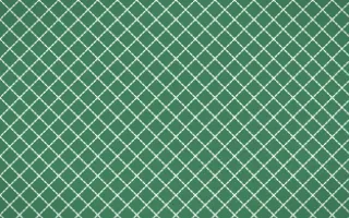 Havana Mint Stitch Diamonds — dark green and white sashiko background