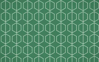 Havana Mint Stitch Hexagons — dark green and white sashiko background