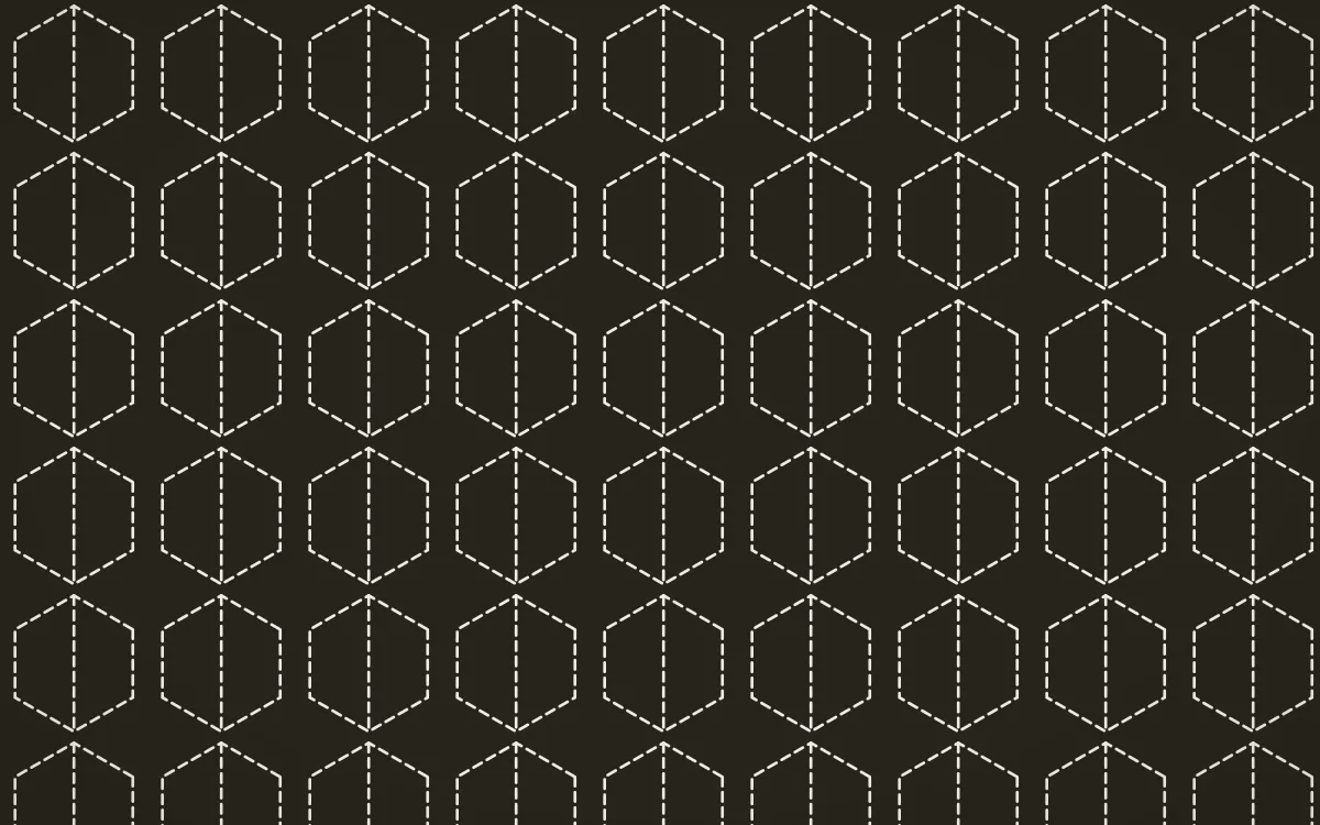 Highland Peat Stitch Hexagons — dark grey and white sashiko background