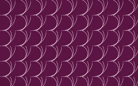 Holi Splash Stitch Fans — dark pink and white sashiko background