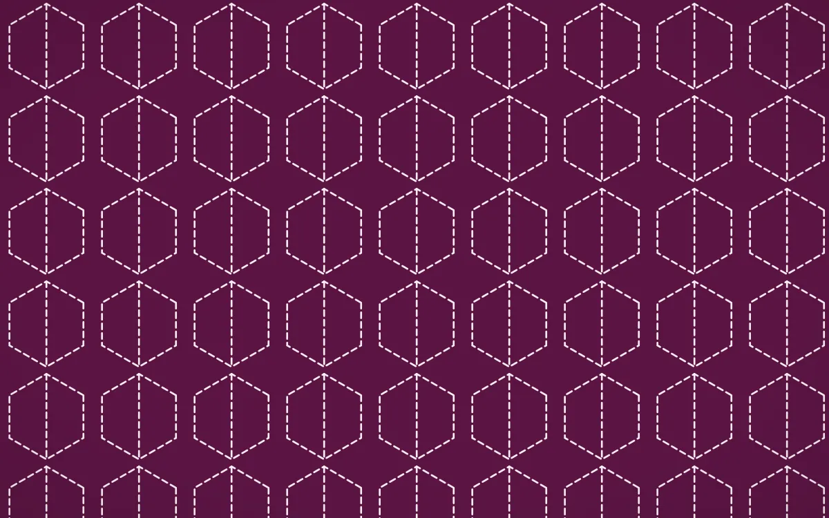 Holi Splash Stitch Hexagons — dark pink and white sashiko background