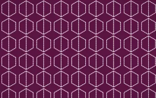 Holi Splash Stitch Hexagons — dark pink and white sashiko background