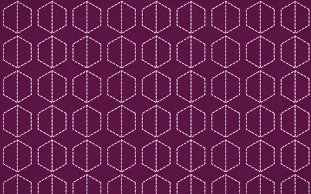 Holi Splash Stitch Hexagons — dark pink and white sashiko background