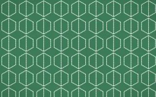 Jade Dynasty Stitch Hexagons — dark green and white sashiko background