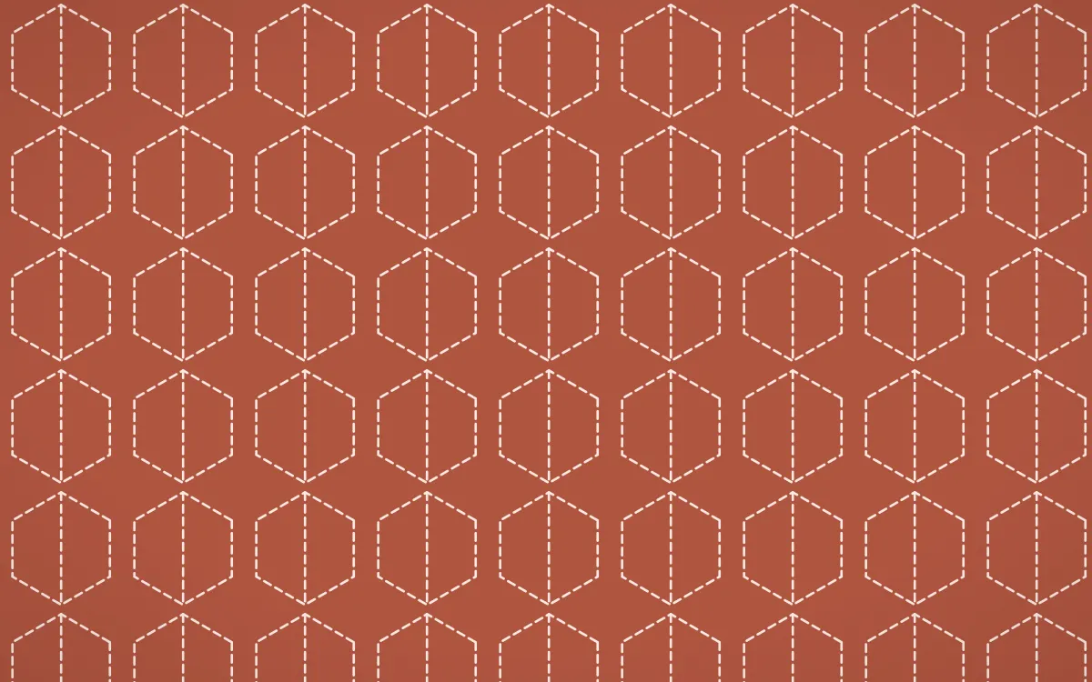 Jaipur Rose Stitch Hexagons — colourful red and orange sashiko background