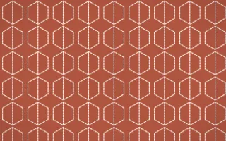 Jaipur Rose Stitch Hexagons — colourful red and orange sashiko background