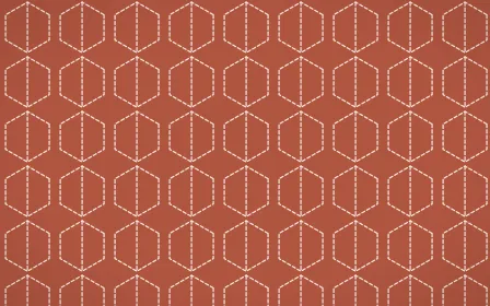 Jaipur Rose Stitch Hexagons — colourful red and orange sashiko background