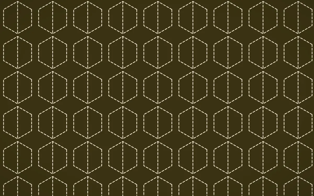 Kerala Spice Stitch Hexagons — dark brown and beige sashiko background