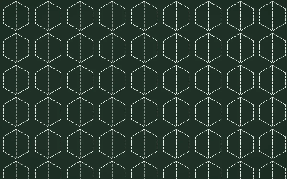 Kiwi Fern Stitch Hexagons — dark green and white sashiko background