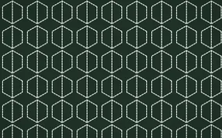 Kiwi Fern Stitch Hexagons — dark green and white sashiko background