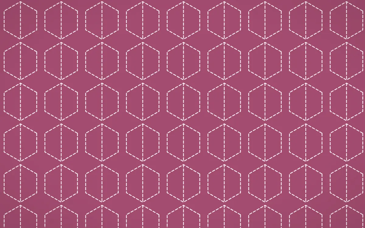 Lotus Siam Stitch Hexagons — colourful pink and white sashiko background