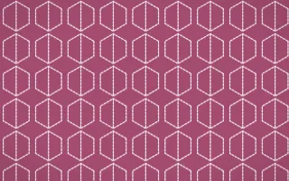 Lotus Siam Stitch Hexagons — colourful pink and white sashiko background