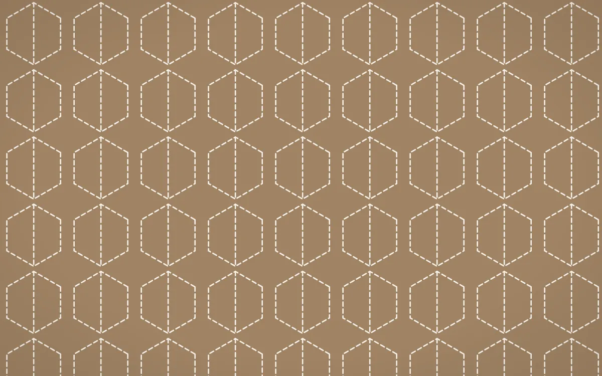 Manila Shell Stitch Hexagons — colourful orange and white sashiko background