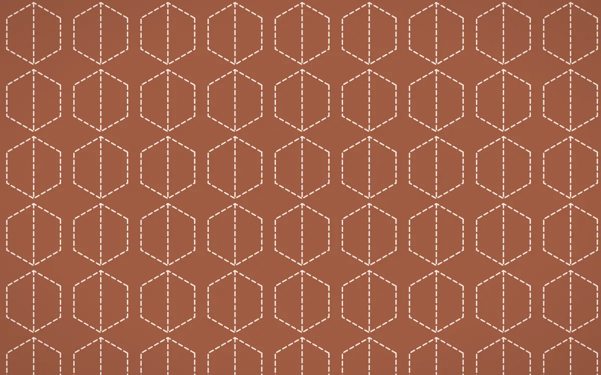 Marrakech Rose Stitch Hexagons — colourful orange and beige sashiko background