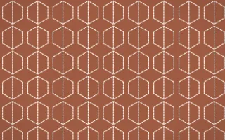 Marrakech Rose Stitch Hexagons — colourful orange and beige sashiko background