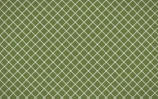 Matcha House Stitch Diamonds — dark green and white sashiko background