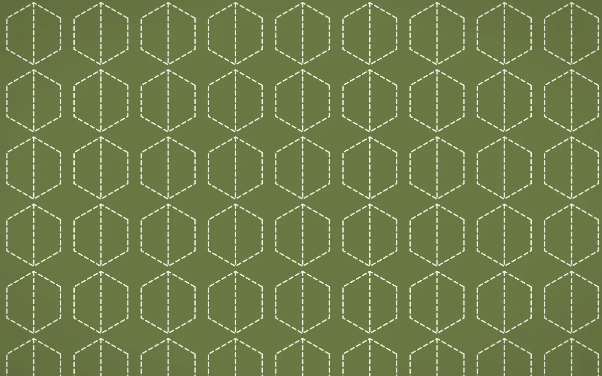Matcha House Stitch Hexagons — dark green and white sashiko background