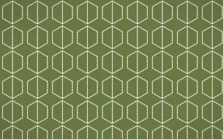 Matcha House Stitch Hexagons — dark green and white sashiko background