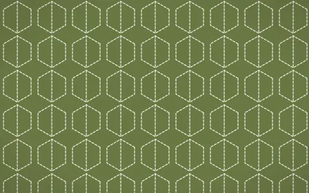 Matcha House Stitch Hexagons — dark green and white sashiko background