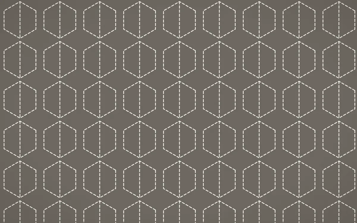Milano Stone Stitch Hexagons — colourful grey and white sashiko background