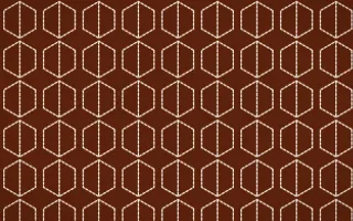 Momiji Maple Stitch Hexagons — dark brown and beige sashiko background