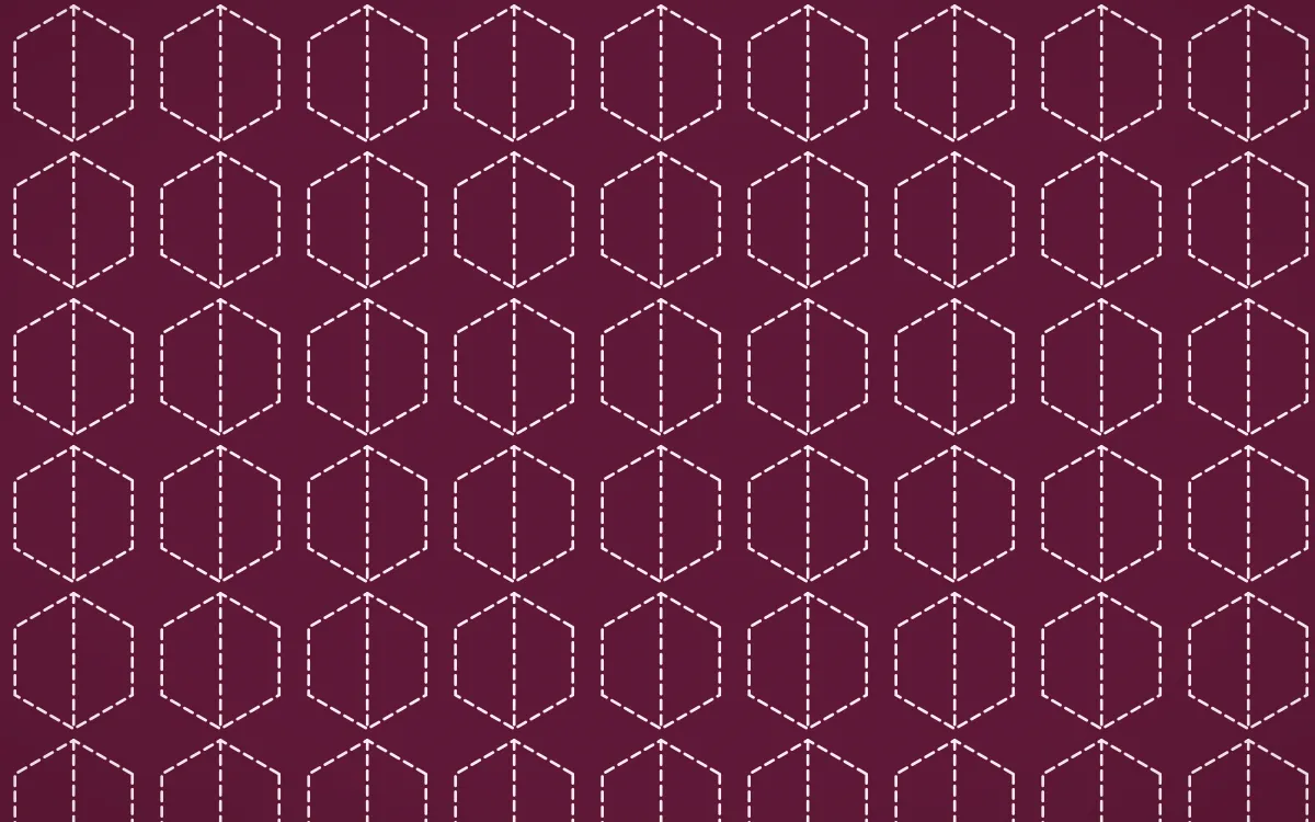 Oaxaca Pink Stitch Hexagons — dark pink and white sashiko background
