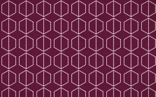 Oaxaca Pink Stitch Hexagons — dark pink and white sashiko background